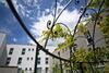 Hotel H�tel Victor Hugo & Spa