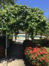 Residencia Le Verger de Sainte Luce