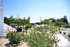 Hotel Kiotari Beach Apartments - Studios