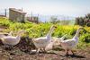 Hotel Fuente Del Sol