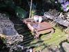 Bed & Breakfast La Casona De Grace