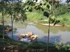 Hotel Nan de Panna Riverside Homestay