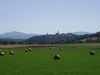 Apartamento Podere Casina Rossa