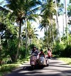Hotel Angel House Ubud