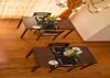Hotel Bungalow By Camellia