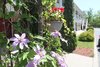 Hotel Saga Resort