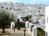 House In Vejer de La Frontera 101276 By Mo Rentals