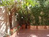 Apartamentos Suitur Courtyard House