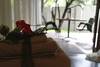 Hotel Cu Boutique Guest House