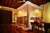 Hotel Tropical Retreat