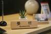 Apartamentos Petit Grande Homes