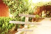Hotel Divine Eco Resort