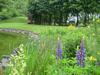Agroturismo Farm Stay Heidehof
