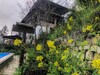 Hotel Catcat Garden House
