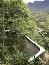 Hotel Catcat Garden House