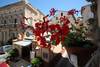 Hotel I Soffitti Dimora Esclusiva