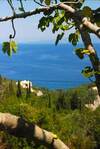 Hotel Angela Studios Paxos