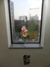Hotel Ehwa In Myeongdong