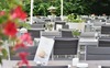 Lindner Sport & Aktiv Hotel Kranichh�he