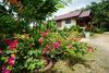 Hotel Mookdamun Bungalows