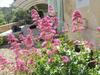 Bed & Breakfast Le Mas de La Lause