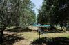 Agroturismo Corte Alle Rose