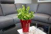 Visithomes T�rshavn Apart Hotel