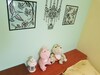 Bed & Breakfast Hostel Green520