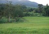 Hotel Singha Park Chiang Rai Camping