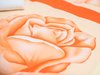 Apartamentos Gaestehaus Villa Rose