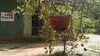 Residencia Sigiriya Vee Guest