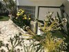 Apartamentos Two Bedroom Self Contained House