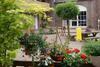 Posada G�stehaus M�nks