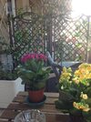 Apartamento Interno 8