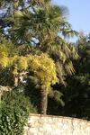 Agroturismo Villa Caselunghe