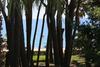 Apartment Para 5 Personas En Cambrils