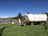 Agroturismo Buffalo Valley Ranch