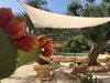 Apartamento Borgo Fiancoafianco