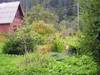 Green Tourism