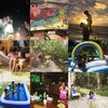 Island Holiday Yoisama