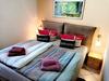 Luxurious Holiday Home In Elend Harz Near Ski Area