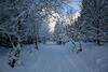 Hostal Hotel Gr�ne Tanne Mandelholz