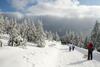 Hostal Hotel Gr�ne Tanne Mandelholz