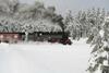 Hostal Hotel Gr�ne Tanne Mandelholz