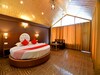 Hotel Oyo 13356 Himachal Heights