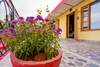 Apartamentos Oyo 13294 Home Heritage 1bhk Clock Tower Mussoorie
