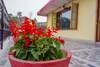 Apartamentos Oyo 13294 Home Heritage 1bhk Clock Tower Mussoorie