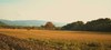 Agroturismo Agriturismo Il Puntoncino