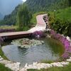 Bed & Breakfast Resort Ninfea San Pellegrino Terme