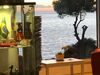 Hotel Casa Vacanze Il Tucano